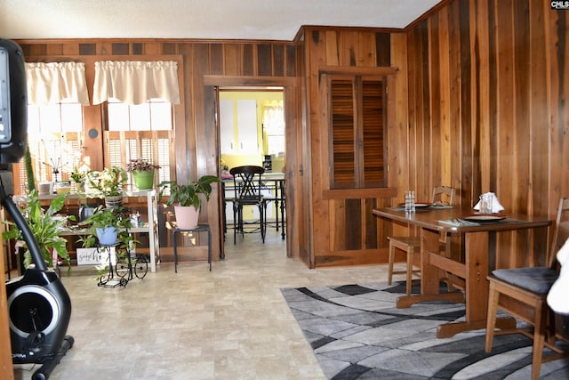 interior space with wood walls