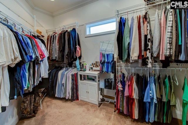 walk in closet with carpet flooring