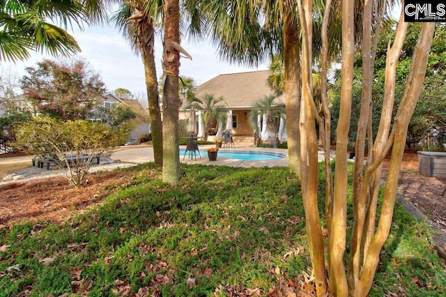 view of yard with a patio area and an outdoor pool