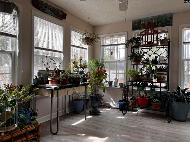 32 Strawberry Field Ln, Elgin, SC 29045