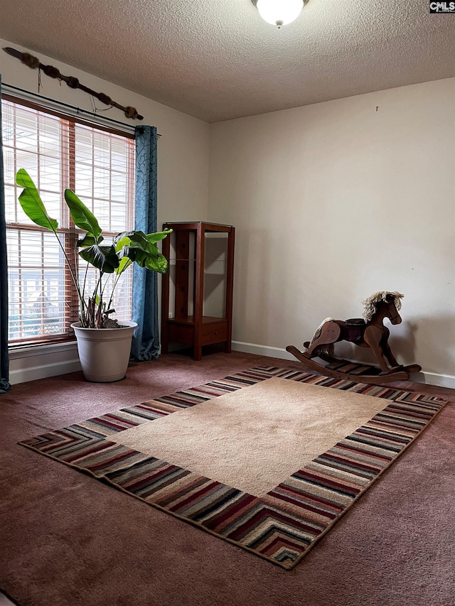 interior space with carpet floors, baseboards, and a textured ceiling