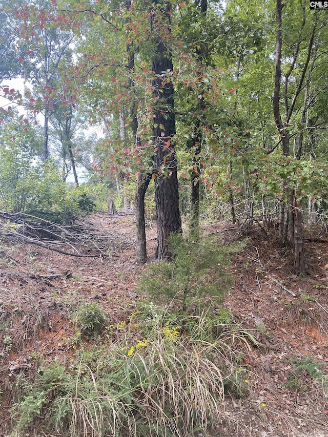 none Claude Bundrick, Blythewood, SC 29016