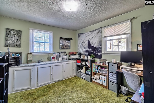 office space featuring carpet floors, plenty of natural light, and a textured ceiling
