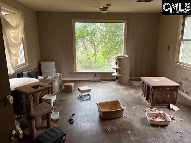 miscellaneous room featuring a wealth of natural light and wood finished floors