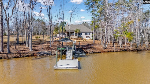 dock area with a water view