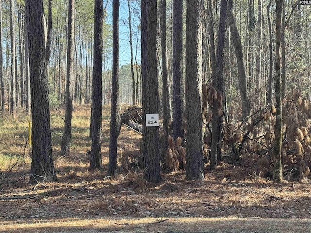 Hollands Landing Rd Unit 214, Prosperity SC, 29127 land for sale