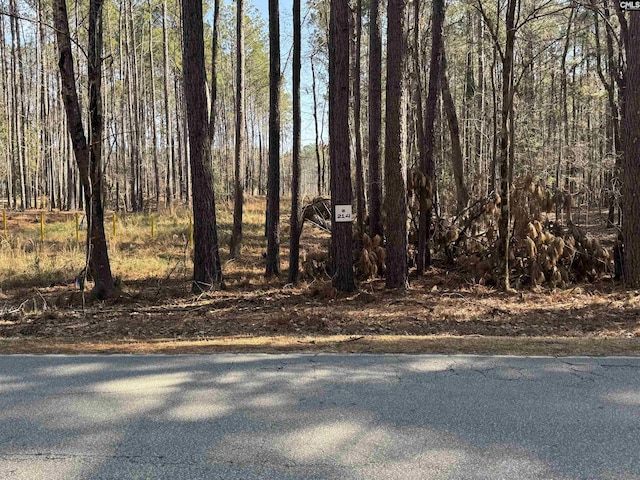 Listing photo 2 for Hollands Landing Rd, Prosperity SC 29127