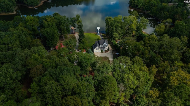 birds eye view of property featuring a water view and a view of trees