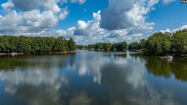 property view of water featuring a wooded view