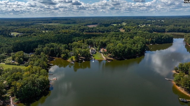 birds eye view of property featuring a water view and a view of trees