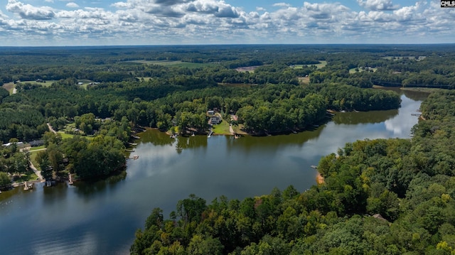 aerial view with a water view and a wooded view