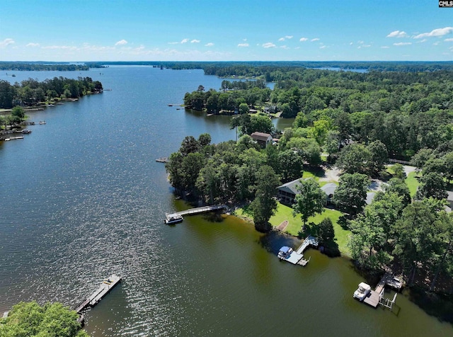 aerial view with a water view and a forest view