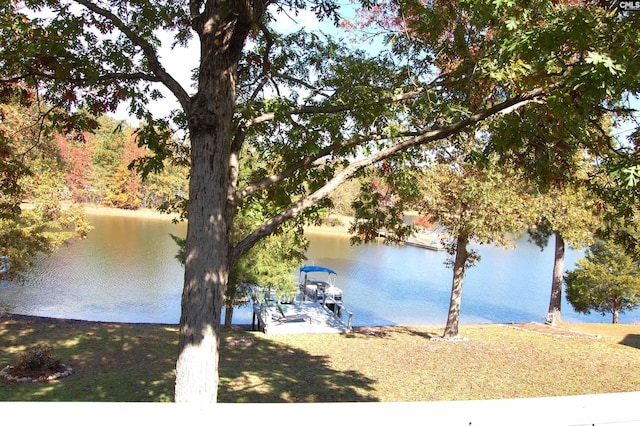 view of water feature featuring a boat dock