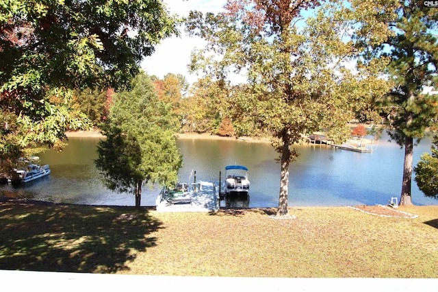 dock area with a water view