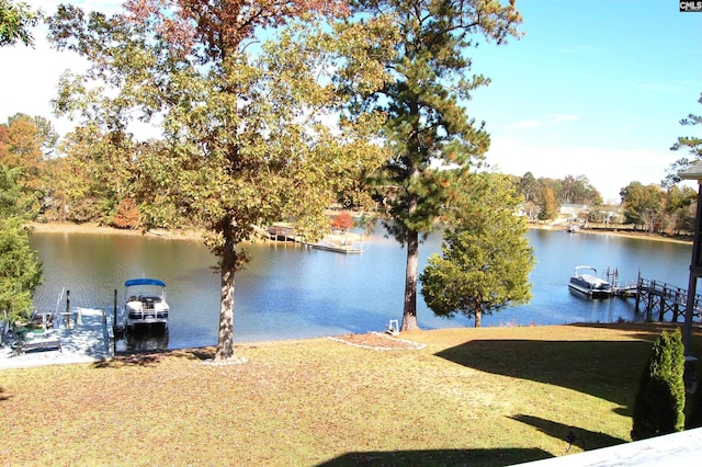 dock area with a water view