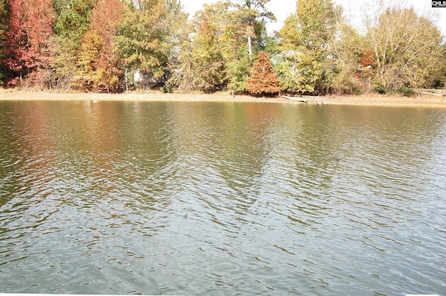 water view with a wooded view