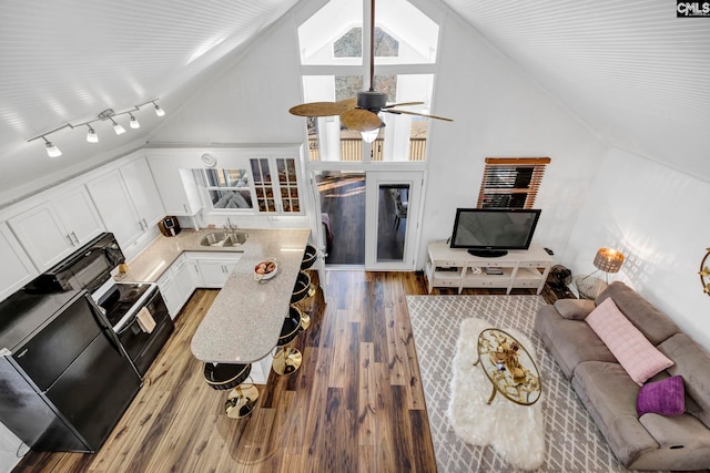 living room with lofted ceiling, track lighting, a decorative wall, and wood finished floors