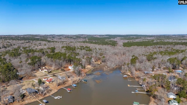 birds eye view of property with a water view and a wooded view