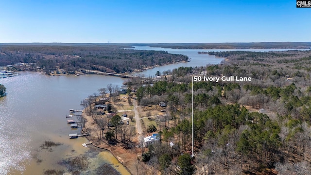 birds eye view of property featuring a water view and a view of trees