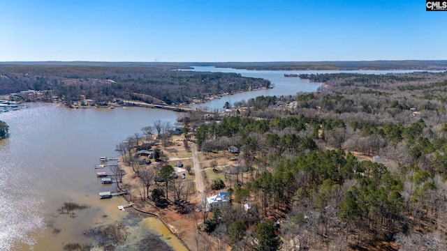 aerial view featuring a water view and a wooded view