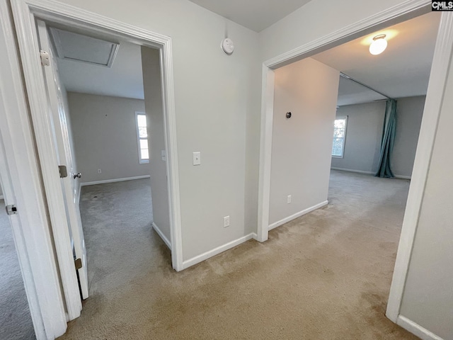 corridor with a healthy amount of sunlight, light colored carpet, and baseboards