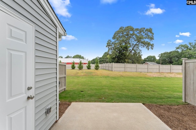 view of yard featuring a patio area and a fenced backyard