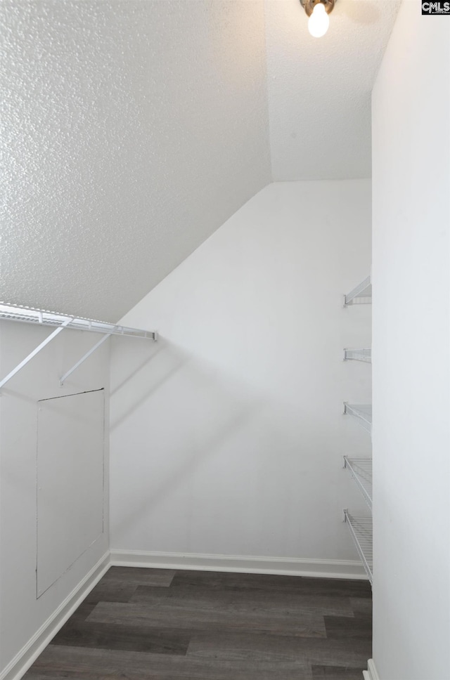 spacious closet featuring vaulted ceiling and dark wood-type flooring