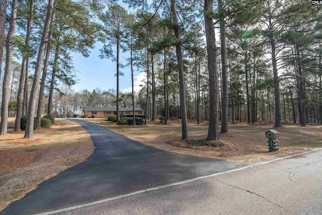 view of street featuring aphalt driveway