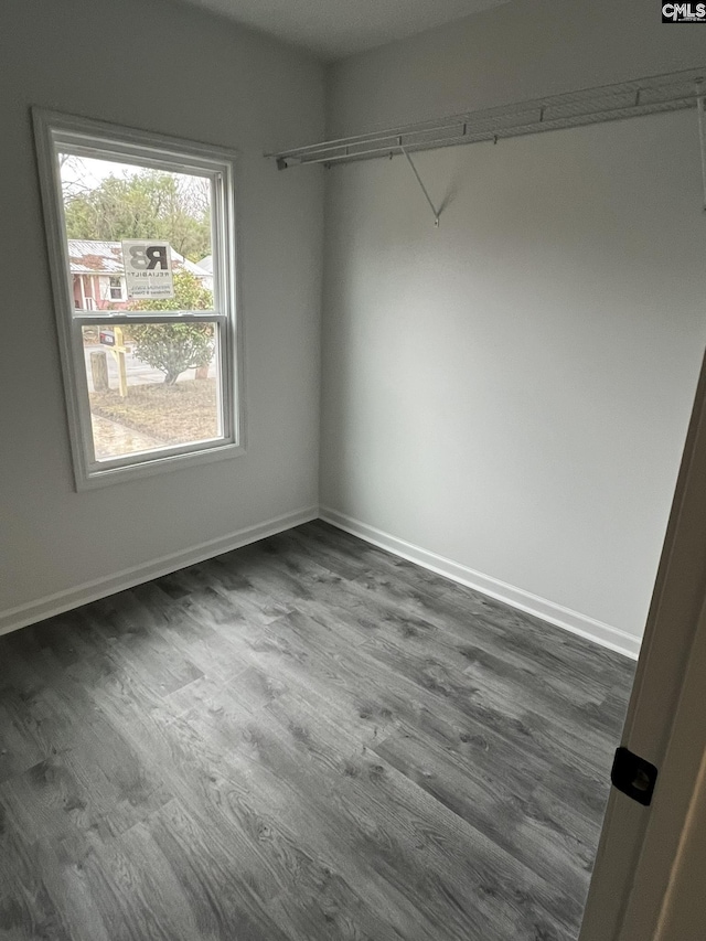 walk in closet with dark wood-type flooring