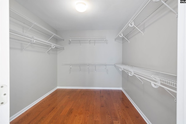 walk in closet with wood finished floors