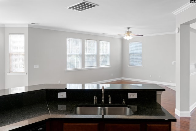 kitchen with ornamental molding, a sink, and a wealth of natural light