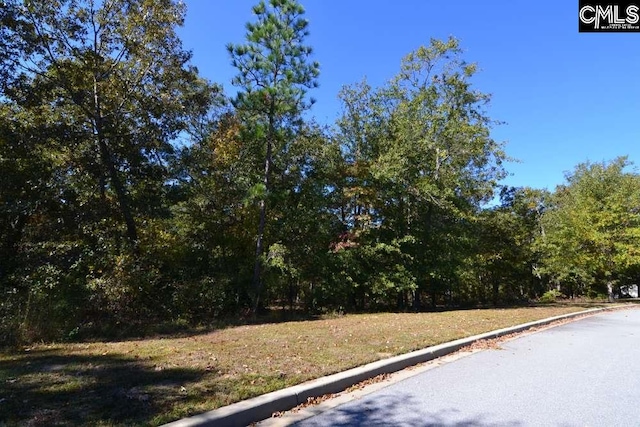 Listing photo 3 for 121 Montgomery Ridge Ln Unit 4, Blythewood SC 29016