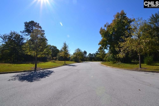 2 Blythe View Ct Unit 15, Blythewood SC, 29016 land for sale