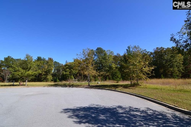 10 Blythe View Ct Unit 13, Blythewood SC, 29016 land for sale