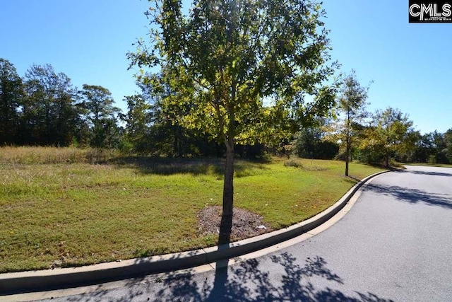 Listing photo 3 for 10 Blythe View Ct Unit 13, Blythewood SC 29016