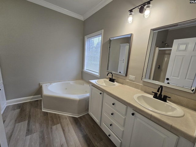 bathroom featuring wood finished floors, ornamental molding, a sink, and a shower stall