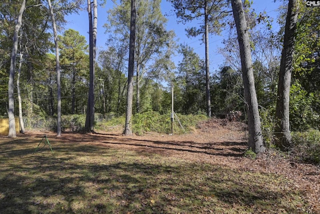 view of local wilderness