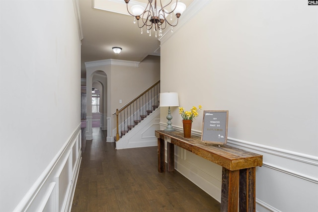 interior space with stairway, dark wood-type flooring, crown molding, and wainscoting