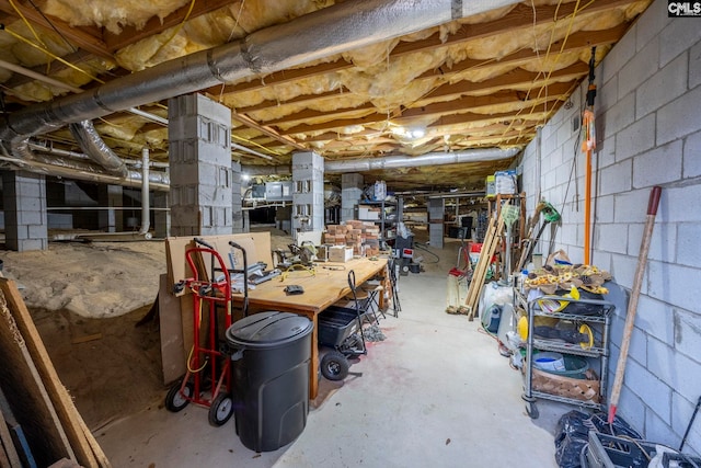 unfinished below grade area featuring concrete block wall