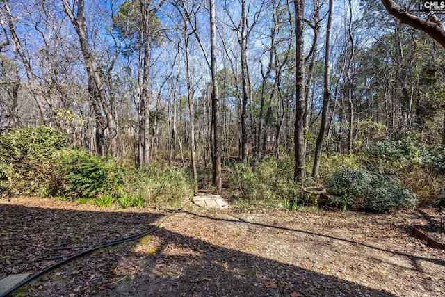 view of yard featuring a wooded view