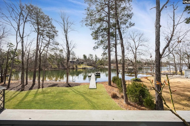 water view featuring a dock