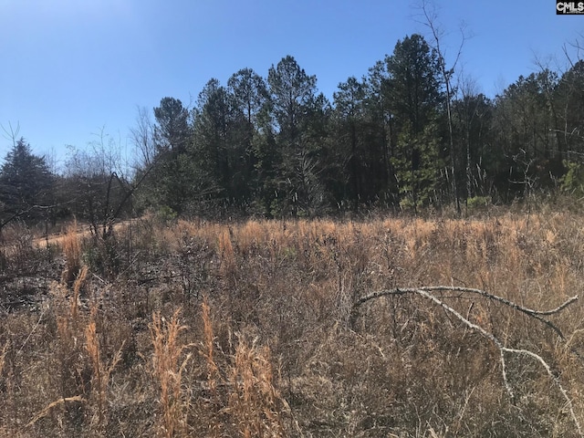 Terry Rd, Pelion SC, 29123 land for sale