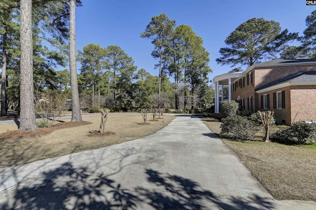 view of road with driveway