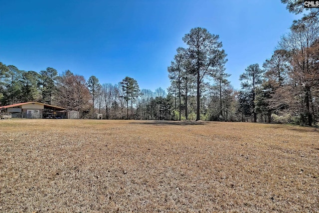 view of yard featuring a garage