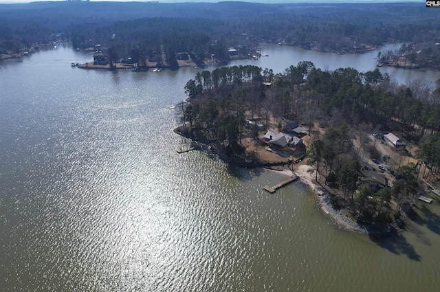 bird's eye view with a water view and a wooded view