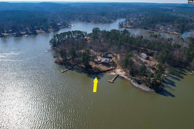 aerial view with a water view and a wooded view