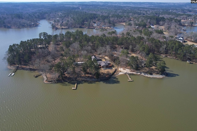 birds eye view of property featuring a water view and a forest view