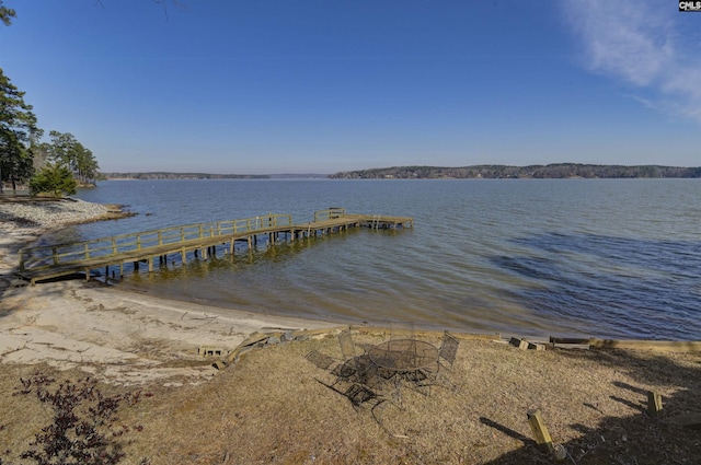 dock area with a water view