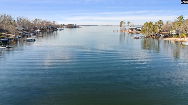 property view of water with a boat dock