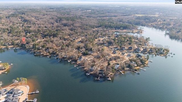 bird's eye view with a water view and a wooded view